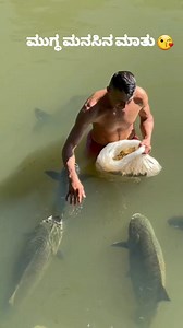 1.7M views · 61K reactions | They often touch upon themes like love, kindness, trust, and hope, resonating deeply with listeners or readers. #MugdaManasinaMathu #KannadaQuotes #HeartfeltWords #KannadaKavigalu #SimpleLife #PureHeart #HonestWords #InnocenceAndWisdom #KannadaInspiration #NammaKannada #ManasinaMaatu #ThoughtsFromTheHeart #GrameenaSoul #KannadaBeauty #EmotionalWords #soulfulkannada | Thashwin K | Facebook