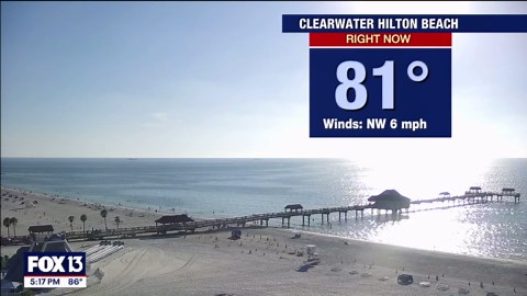 Tampa weather | Low clouds and patchy fog