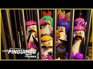 Los pingüinos son capturados | DreamWorks Madagascar en Español Latino