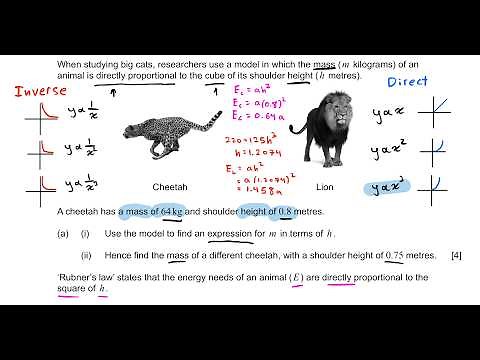 IB Math AI SL - May 2024 - Paper 1 - TZ 1