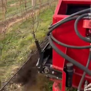 57 reactions · 11 comments |  Fall feeding for the grapevines....