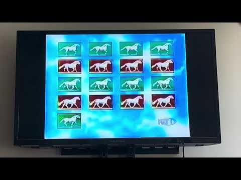 Sesame Street - Counting 20 Horses are Racing
