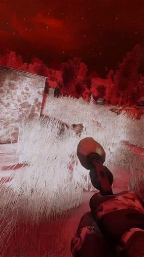 🤨 What even is this suppressor ? in Stalker Gamma #shorts #stalker2 #stalkergamma #gaming #fps