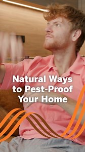 82 reactions | Say goodbye to summer pests the natural way  Try these easy DIY tricks to keep your home pest-free without the harsh chemicals! Link in bio. | Constellation | Facebook