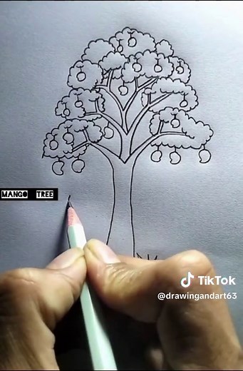 Easy Mango Tree Drawing Tutorial