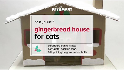 190K views · 1.5K reactions | We're 11 days away from Christmas......