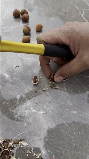 Hazelnut Cracking Guide, Simple Tools, Easy Steps!