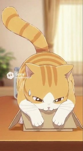 Cat: There's no box I can't get into. #cat #funnycat #cute #catsoftiktok