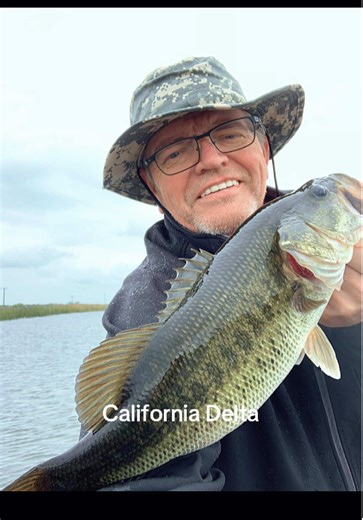 Delta Bassin Adventures: Largemouth Bass Fishing