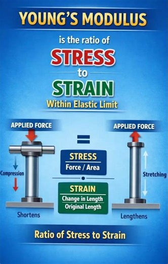 Young's Modulus | Simple Concepts Of Young's Modulus | Class 11 Physics #physics