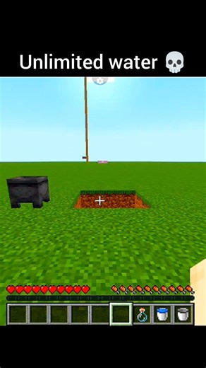 This Water Bug Should Be Illegal 😱