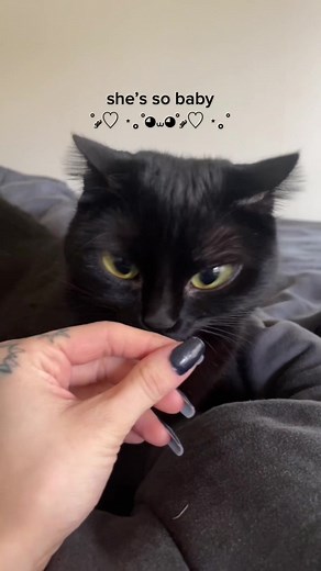 Sinister Cartoon Cat with Big Eyes