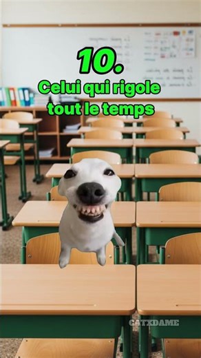 « T'es quel type d'élève ? » 🏫😂​#humour #drole #catmemes #pov