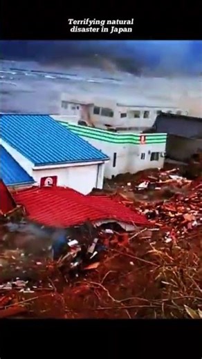 What Really Happened During the Japan Tsunami?