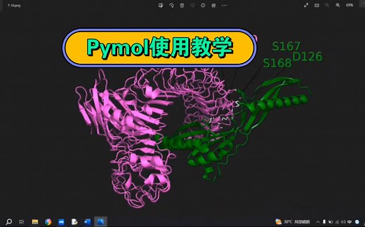 如何使用Pymol对两蛋白结合位点进行标注？有需要的小伙伴们看一下吧
