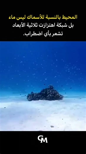 ‎تحفيز🔥افكار🧠مال💵‎ on Instagram‎: "الأسماك ليست مجرد كائنات تسبح في أعماق البحار... بل هي كائنات "مزودة برادار حي" يلتقط أدق الاضطرابات في الماء . تمتلك الأسماك جهازًا خارقا يسمى "الخط الجانبي" (Lateral Line System)، وهو عبارة عن صفوف من الخلايا الحسية الممتدة على جانبي جسمها تعمل مثل شبكة من المجسات الفائقة الحساسية. هذا الجهاز قادر على التقاط أصغر حركة أو ذبذبة في الماء، حتى لو كانت ناتجة عن رفرفة جناح بعوضة على السطح! •كيف يعمل ؟ يحتوي على خلايا تسمى الخلايا الشعرية (Hair Cells)، شبيهة بتل