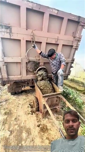 Unload and Transfer Well-Composted Cow Manure to Greenhouse for Fertilizing
