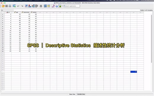 SPSS ｜ Descriptive Statistics 描述性统计分析