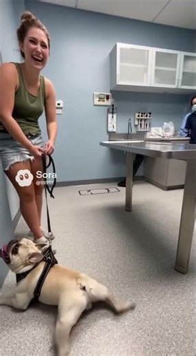 “Dog Screams Like a Human at the Vet 😳😂” #ViralDog #HilariousPets
