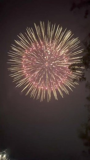 8_Huge Firework Bombs!勞 #fireworks #firework #feuerwerk #fireworkshell #fyp #foryou #pyrography #pyr | Firework Show | Facebook