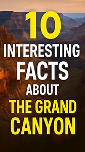 Think you know Grand Canyon National Park in Arizona? 🌄 Here are 10 interesting facts that will surprise you! 😮 | Gallery of Nature
