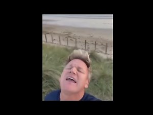 GORDON RAMSAY SINGS INTERIOR CROCODILE ALLIGATOR MEME