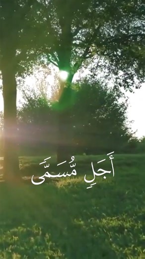 عيدكم مبارك #shorts