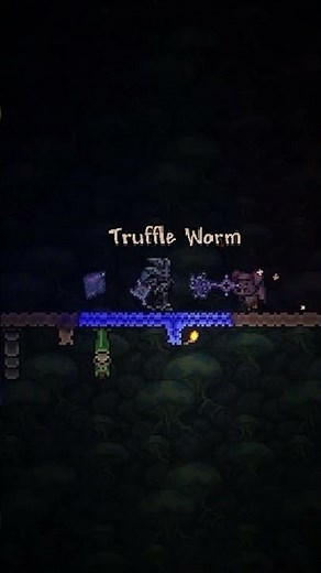 Catching 100 Truffle Worms #terraria