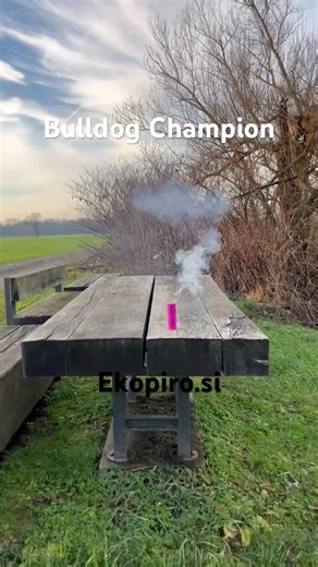 ⚠️warning flash⚠️#viral #firecracker #pyro #fireworks #cobra8