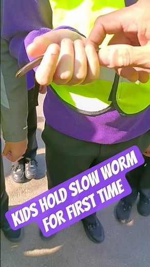 School pupils hold slow worms for their first time #nature #lizard #reptiles
