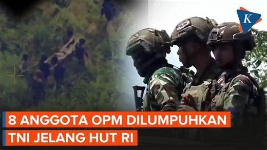 TNI Komando Operasi Habema telah melumpuhkan 8 anggota organisasi Papua merdeka (OPM) dalam kegiatan penyisiran di sejumlah titik di Papua Pegunungan dan Papua Tengah. Penyisiran itu dilakukan pada bulan Agustus menjelang peringatan hari ulang tahun ke-80 Kemerdekaan Republik Indonesia. Konfrontasi pertama terjadi pada (8/8/2025) di Kabupaten Puncak Jaya. Penyisiran itu membuat tiga anggota OPM tertembak. Kemudian patroli berlanjut pada tanggal (11/8/2025). Pasukan kembali terlibat adu tembak di