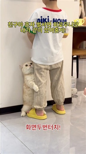 친구야 나중에 내가 혼나고 있으면 같이 있어줘야 한다?!