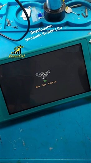 Desbloqueio Nintendo Switch Lite #dicasdecelular #assistenciatecnica #consertodecelular | Fernando Nakashima Canejo