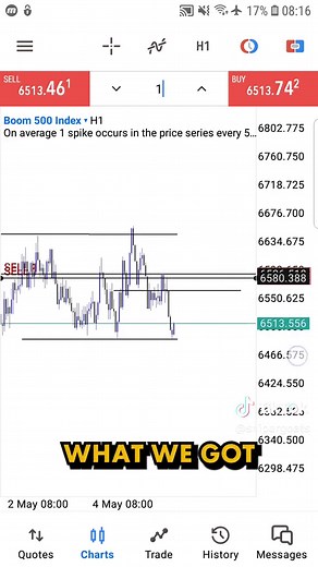 Gofaone K Modise on TikTok