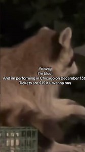 bluu! performing in Chicago #chicago #indiepop #wifiskeleton #bunii #indierock