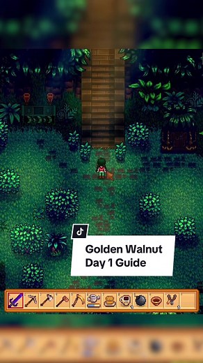 Unlock Your Ginger Island Farm in Stardew Valley in One Day