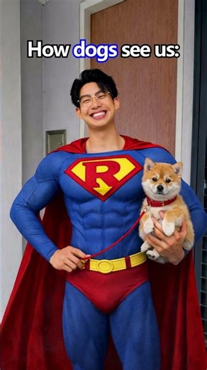 How cat and dog see human