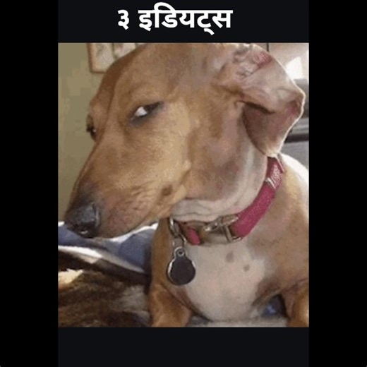 ३ इडियट्स #comedy #shorts #vairalvideo