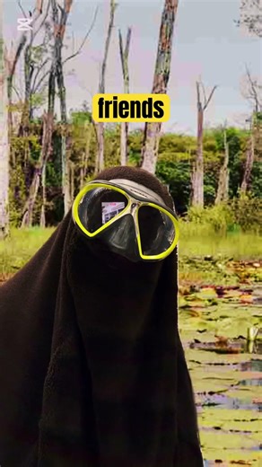 swamp monster’s first video