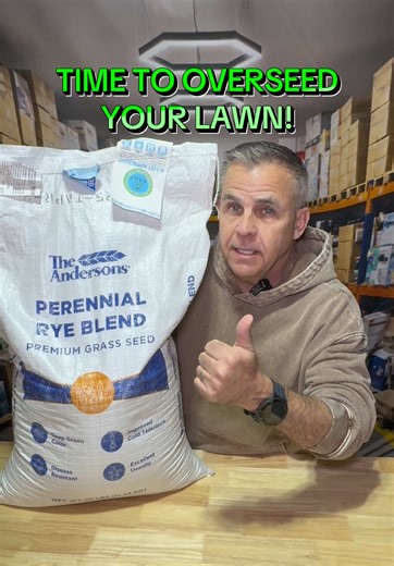 The Andersons Perennial Rye Blend Premium Grass Seed. About the product * Deep green color * Disease resistant * Better cold tolerance * Excellent density * Ideal for overseeding applications * Can be used in both cool- and warm-season turf locations * A low-input, A-LIST Seed * Product of the USA Overview The Andersons Perennial Rye Blend of elite grass varieties was bred specifically to excel under high-traffic areas. This Perennial Rye Blend's Gray Leaf Spot resistance, dark green color, fine