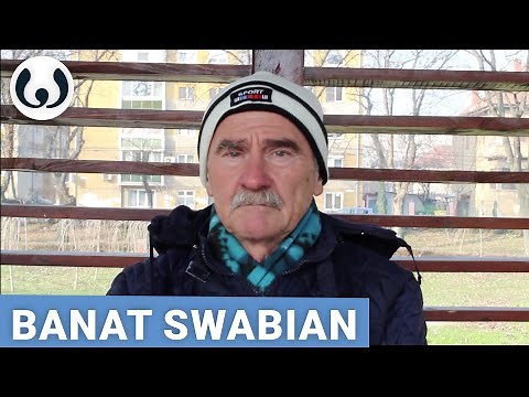 Alexander speaking Banat Swabian (Bavarian) | Germanic languages | Wikitongues