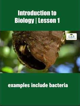 INTRODUCTION TO BIOLOGY LESSON ONE