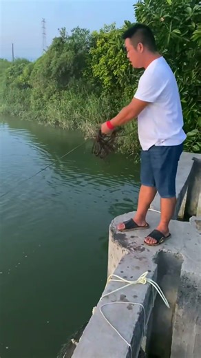 amazing fish catching videos #fishing #net #fishingnets