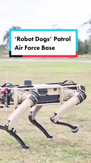 Robot Dogs Used for Military Patrols at Air Force Base | TikTok