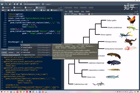 跟着Nature学画图~R语言ggtree展示进化树并添加图片注释