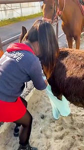 20K views · 68 reactions | #donkeylove #cuteanimals #farmlife #farmanimals #adorable #animallover #donkeyday #donkeyfun #donkeyfacts | Donkey Lover | Facebook