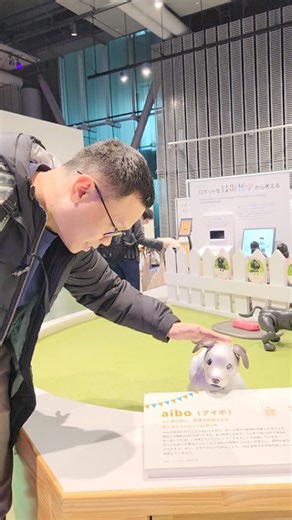 Pow Salud on Instagram: "Robot dog in Japan"