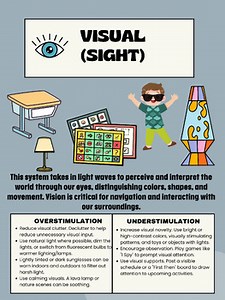 The 8 Senses: Quick-Reference Sensory System Posters (SPED & Gen Ed)