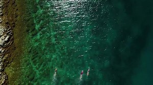 24 reactions · 4 comments | This is how we'd like to be swimming into...