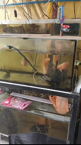 1 st Home Service for This Year. Client from madapdap Mabalacat Pampanga Tara Let's Go! | Kiah David